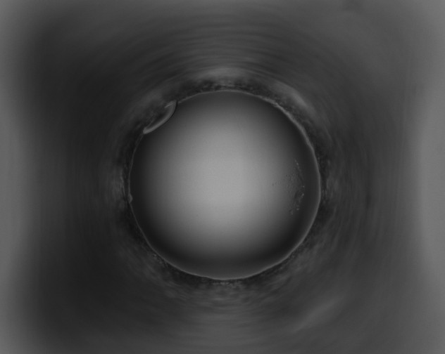 X0000100391062200806061249