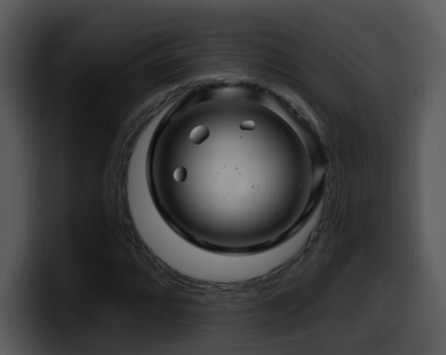 X0000100391064200806061249
