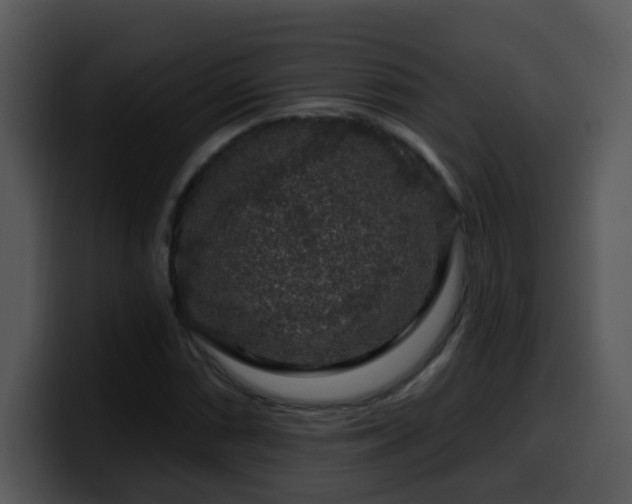 X0000100391066200806061249