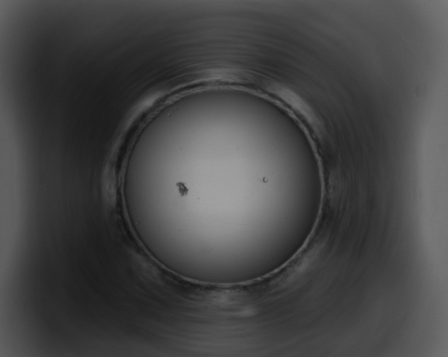 X0000100391067200806061249