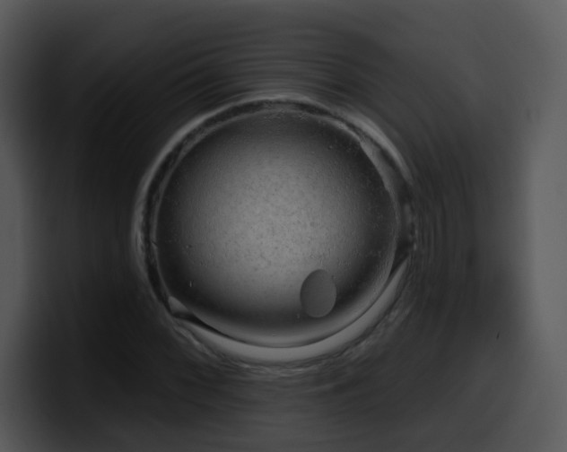 X0000100391068200806061249