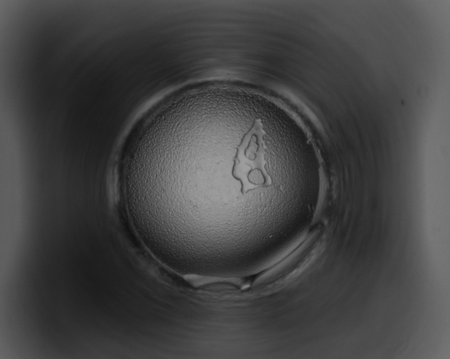 X0000100391069200806061249
