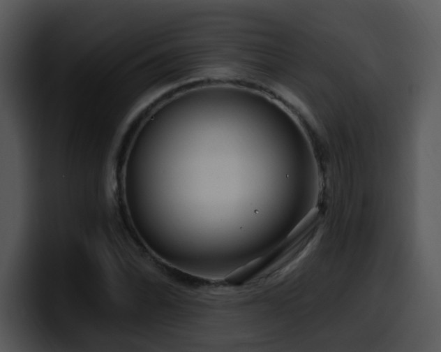 X0000100391070200806061249