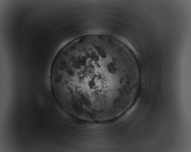 X0000100391071200806061249