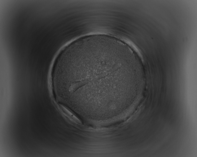X0000100391072200806061249