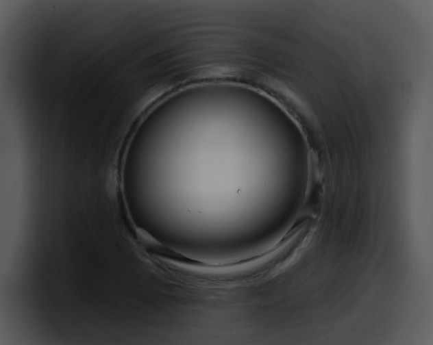 X0000100391073200806061249