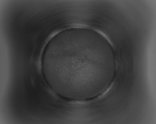 X0000100391074200806061249