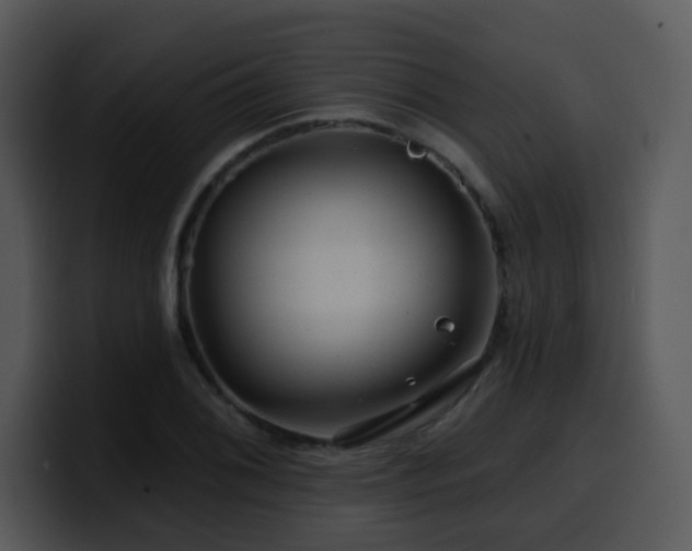 X0000100391076200806061249