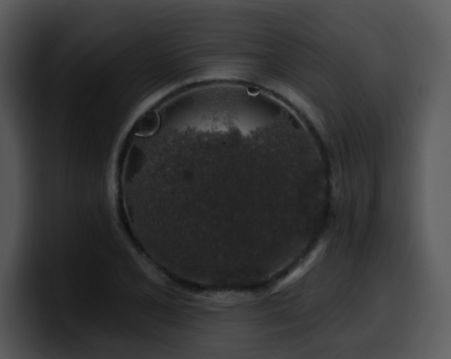 X0000100391077200806061249