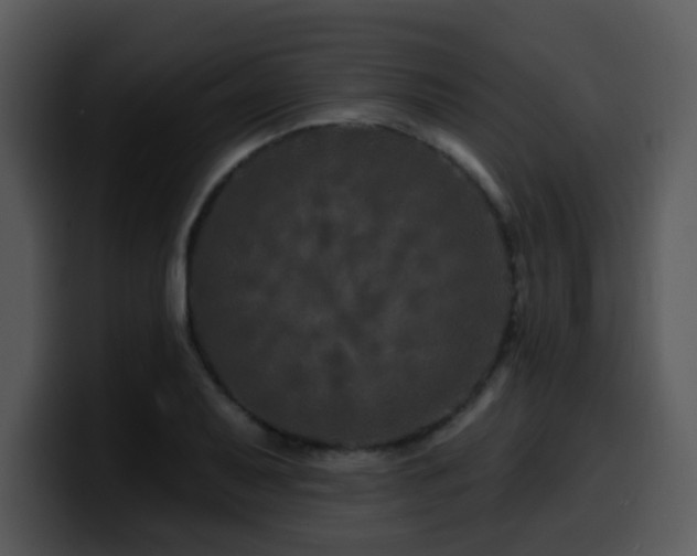 X0000100391079200806061249