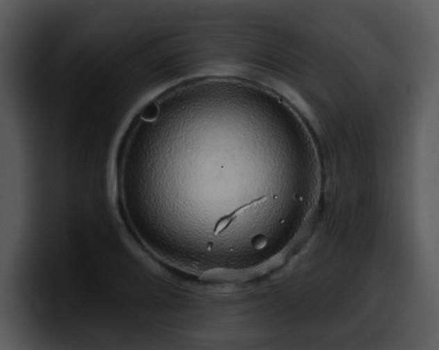 X0000100391080200806061249