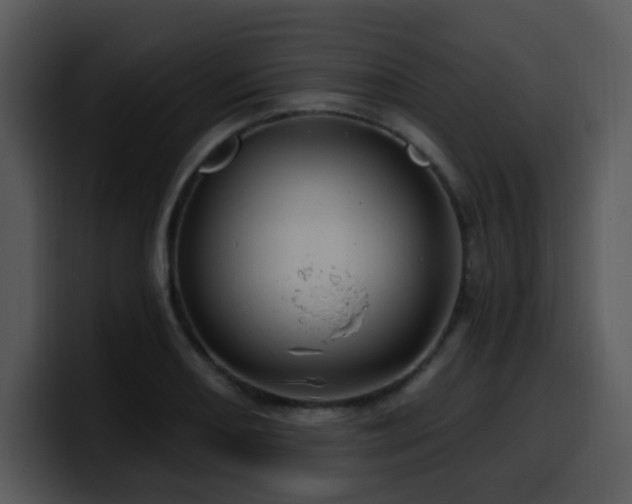 X0000100391082200806061249