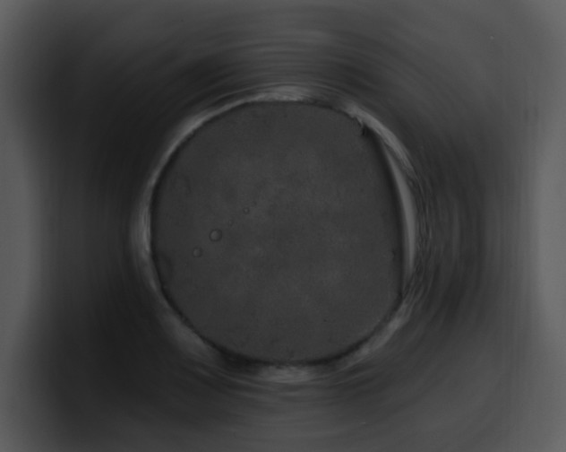 X0000100391083200806061249