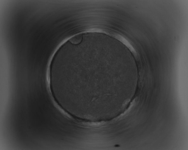 X0000100391084200806061249