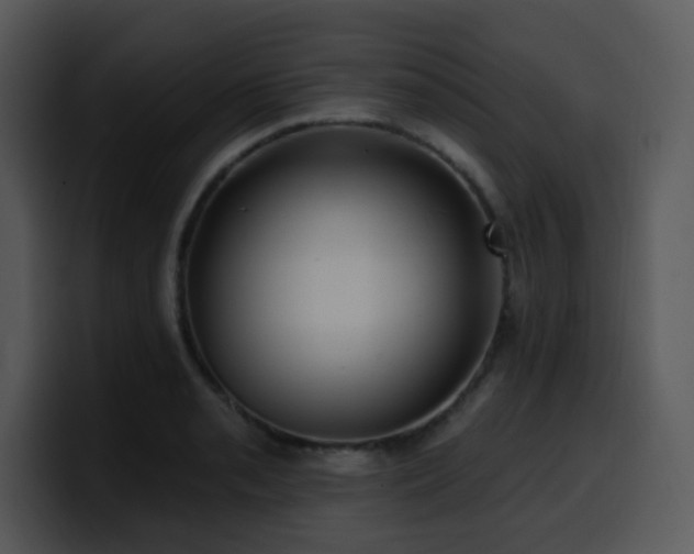 X0000100391085200806061249