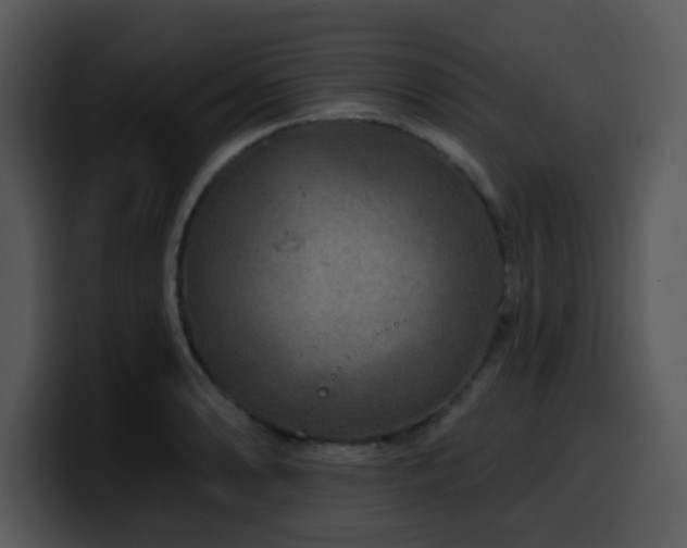 X0000100391086200806061249