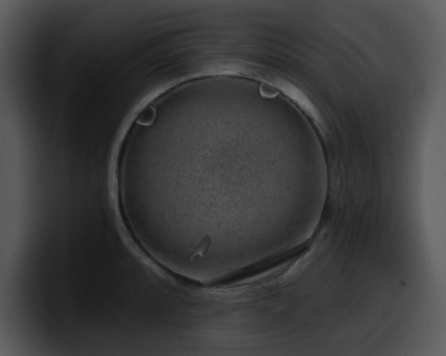 X0000100391088200806061249