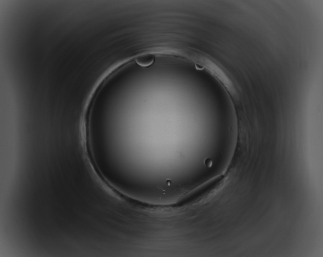 X0000100391092200806061249