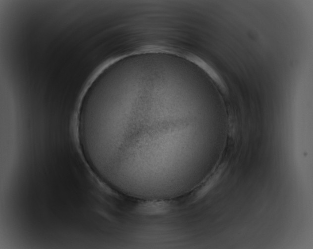 X0000100391094200806061249