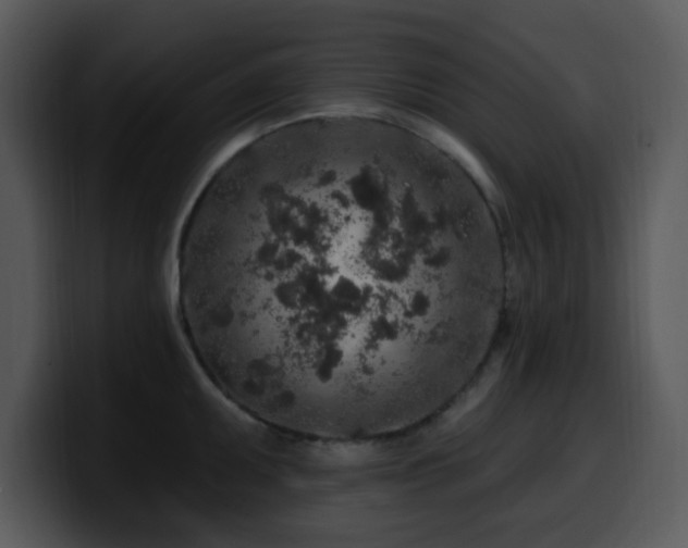 X0000100391095200806061249