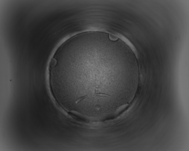 X0000100391096200806061249