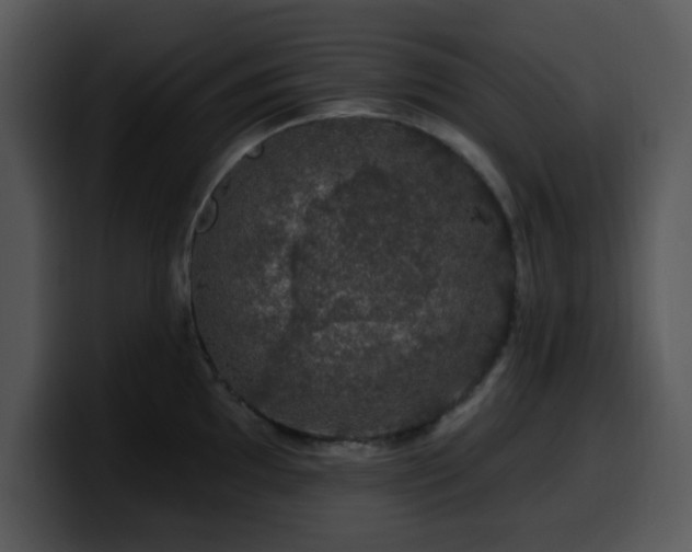 X0000100391097200806061249