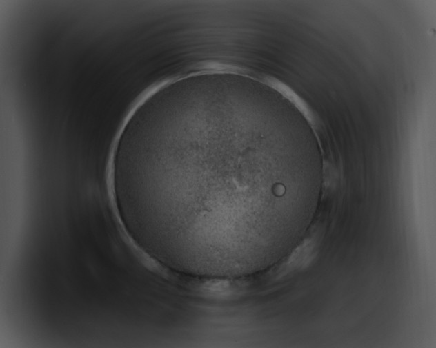 X0000100391098200806061249