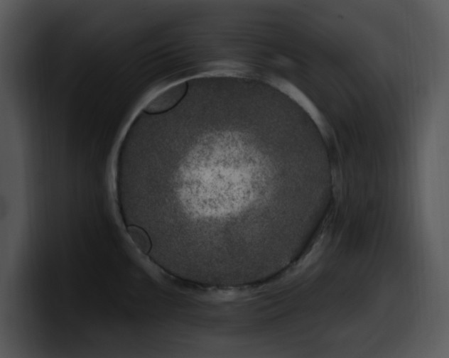 X0000100391099200806061249