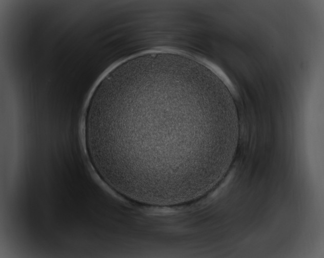 X0000100391100200806061249
