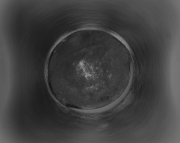 X0000100391101200806061249