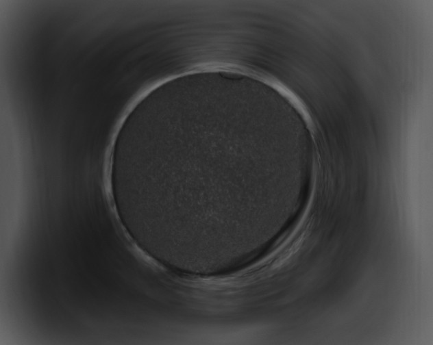 X0000100391102200806061249