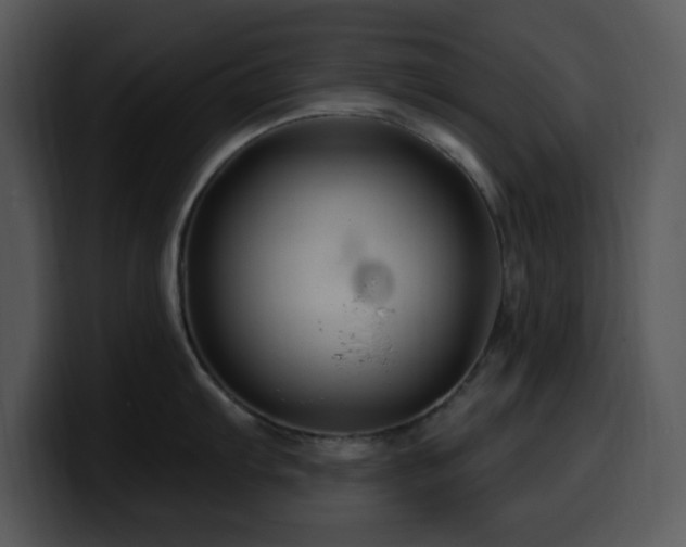 X0000100391103200806061249