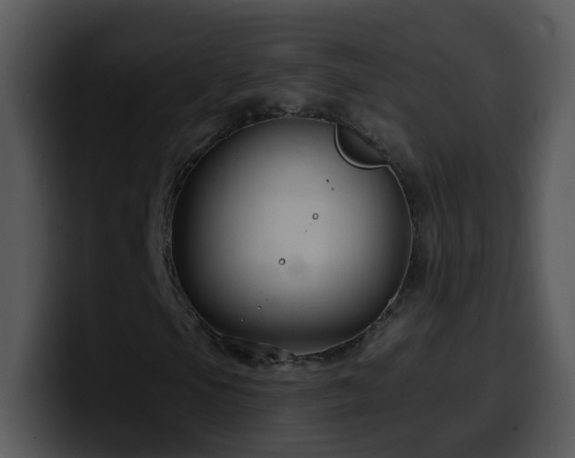 X0000100391105200806061248