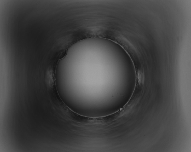 X0000100391107200806061248