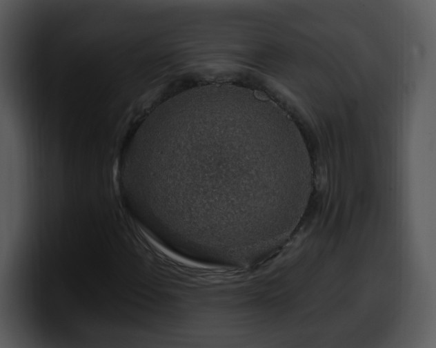 X0000100391108200806061248