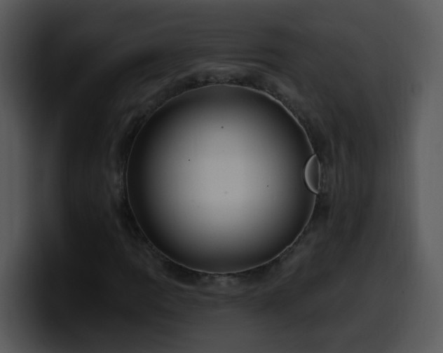 X0000100391109200806061248