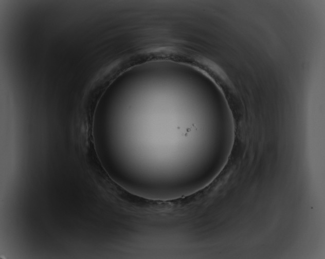 X0000100391111200806061248
