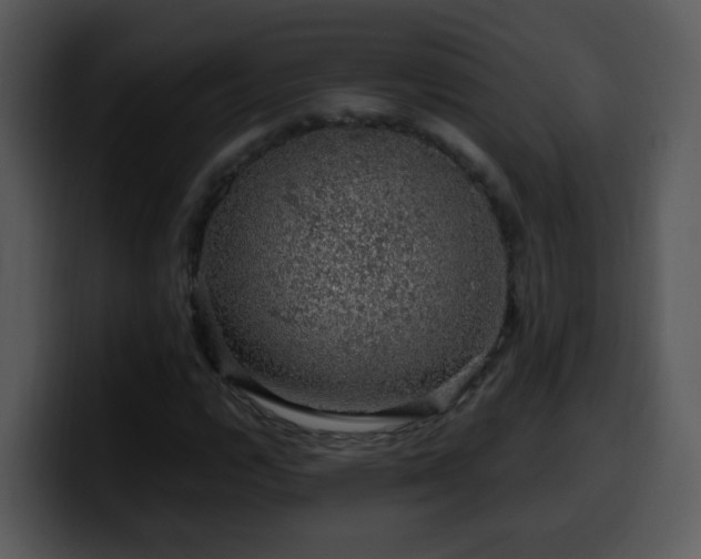 X0000100391112200806061248