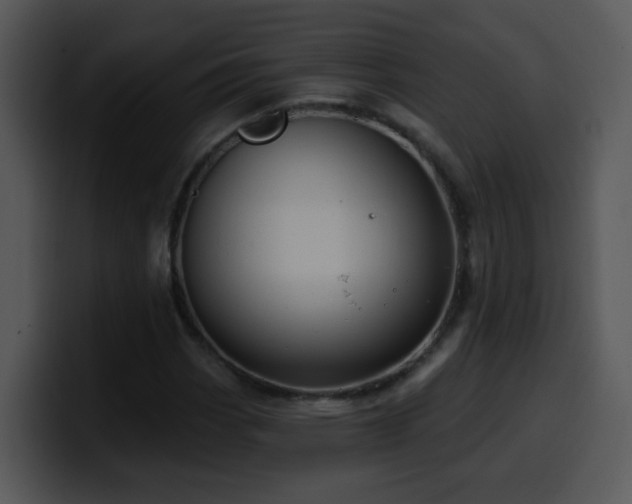 X0000100391113200806061248