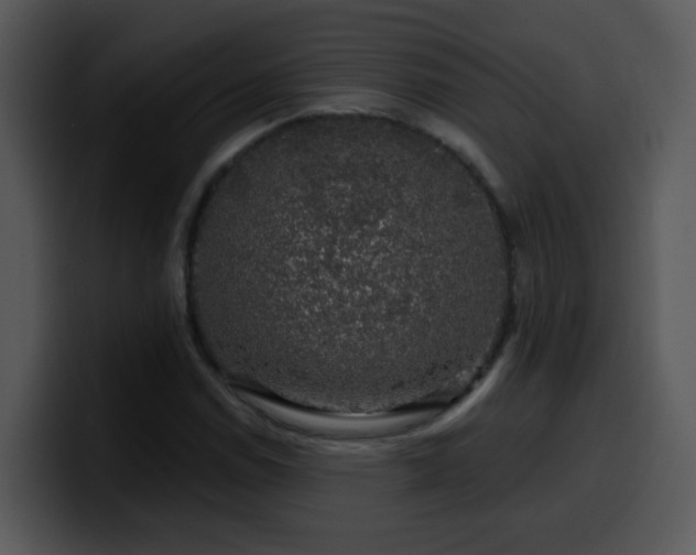X0000100391114200806061248