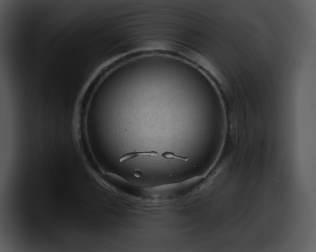 X0000100391116200806061248
