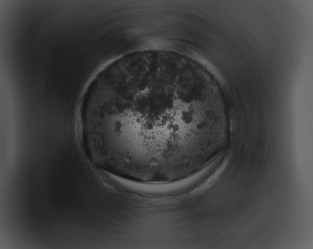 X0000100391117200806061248