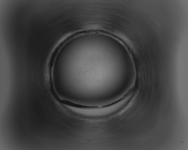 X0000100391118200806061248