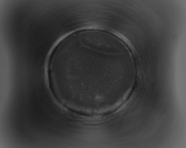 X0000100391120200806061248