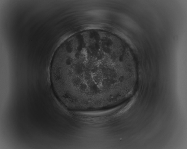 X0000100391121200806061248