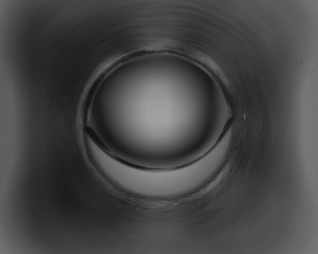 X0000100391122200806061248