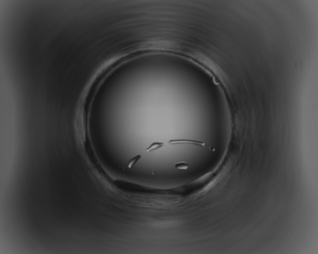 X0000100391123200806061248