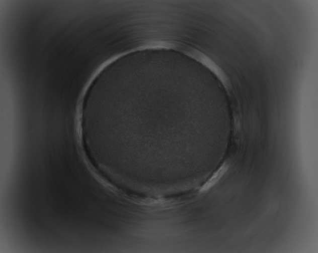 X0000100391124200806061248
