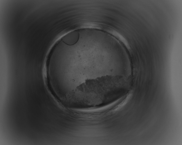 X0000100391125200806061248