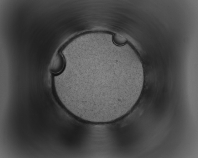 X0000100391126200806061248